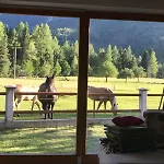 Barbara With Sauna *