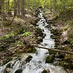 Barbara With Sauna Gozd Martuljek