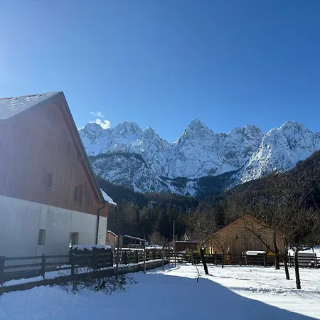 Apartamento Barbara With Sauna Gozd Martuljek