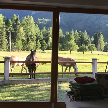 Barbara With Sauna *