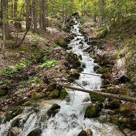 Barbara With Sauna Gozd Martuljek