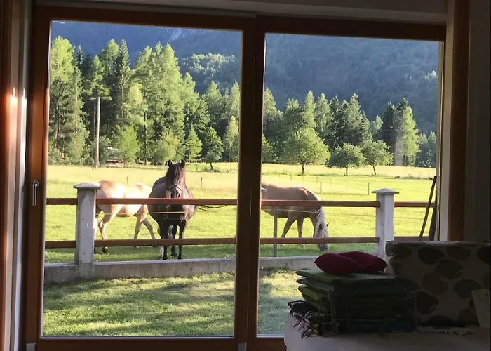 Barbara With Sauna *
