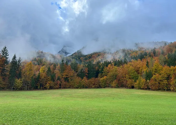 Apartman Barbara With Sauna