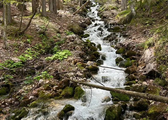 Barbara With Sauna Gozd Martuljek